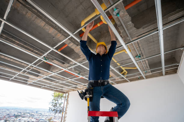 Best Leak Detection Services  in Buckeystown, MD